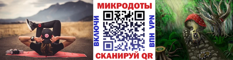хочу   Суджа  Галлюциногенные грибы мухоморы 